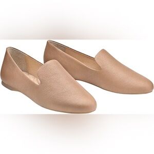 Birdies The Starling